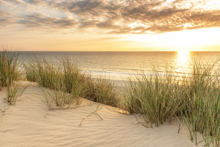 Bild-Nr: 12916100 Sylter Dünenlicht Erstellt von: Nordbilder