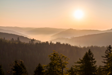 Bild-Nr: 12916119 Sonnenaufgang am Schliffkopf im Schwarzwald Erstellt von: dieterich