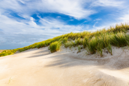 Bild-Nr: 12916292 Ostseedünen im Licht Erstellt von: Daniela Beyer