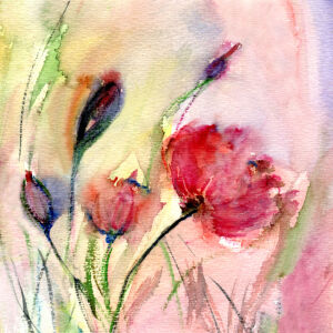 Bild-Nr: 12916326 Mohn Aquarell Erstellt von: ClaudiaG