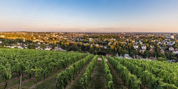 Bild-Nr: 12916330 Blick vom Neroberg auf Wiesbaden - Hessen Erstellt von: dieterich