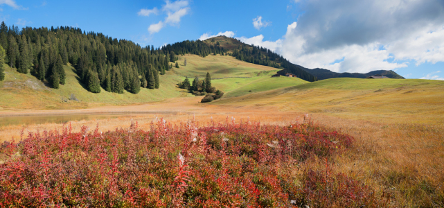 Bild-Nr: 12916589 Stelsersee im Prättigau Herbstlandschaft Erstellt von: SusaZoom