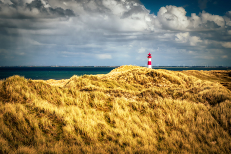 Bild-Nr: 12916592 Halbinsel Ellenbogen im Abendlicht Erstellt von: Nordbilder