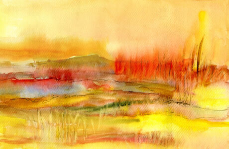 Bild-Nr: 12916902 Morgenlicht Erstellt von: ClaudiaG