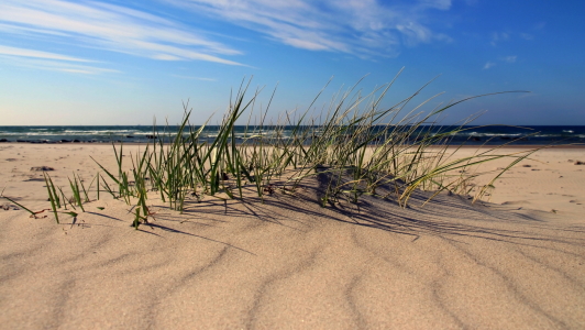 Bild-Nr: 12917533 Sandwellen Erstellt von: Ostseestrand
