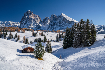 Bild-Nr: 12917765 Herbst auf der Seiser Alm Südtirol Erstellt von: Achim Thomae