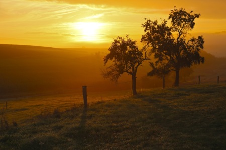 Bild-Nr: 12918809 Morgenstund  Erstellt von: Ursula Reins