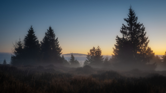 Bild-Nr: 12918850 Die Magie des Morgens  Erstellt von: Steffen Henze