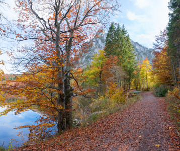 Bild-Nr: 12920335 Rundweg Laudachsee Salzkammergut im Herbst Erstellt von: SusaZoom