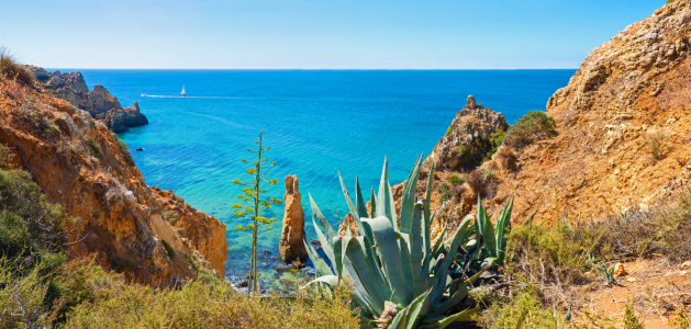 Bild-Nr: 12920586 Küstenlandschaft Ponta Piedade Lagos mit Agave Erstellt von: SusaZoom