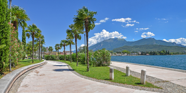 Bild-Nr: 12920888 Palmenpromenade Riva del Garda Erstellt von: SusaZoom