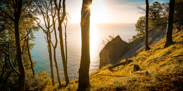 Bild-Nr: 12921095 Wissower Klinken auf Insel Rügen im Sonnenaufgang Erstellt von: Martin Martin Wasilewski