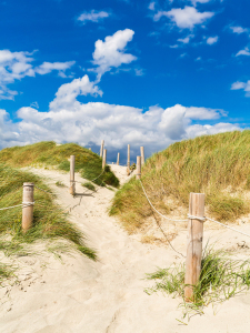 Bild-Nr: 12923005 Weg durch die Dünen zum Meer - Großbritannien Erstellt von: dieterich