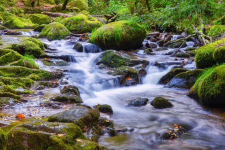 Bild-Nr: 12923050 Geroldsauer Wasserfall - Schwarzwald Erstellt von: uh-Photography