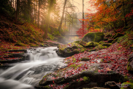 Bild-Nr: 12923253 Colorfull Autumn Erstellt von: Thomas Koch