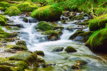 Bild-Nr: 12923420 Geroldsauer Wasserfall - Schwarzwald Erstellt von: uh-Photography