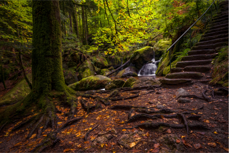 Bild-Nr: 12924332 Secret Place Erstellt von: Thomas Koch