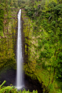 Bild-Nr: 12924342 Akaka Falls auf Hawaii Erstellt von: DirkR