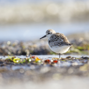 Bild-Nr: 12924630 In Balance Erstellt von: Daniela Beyer