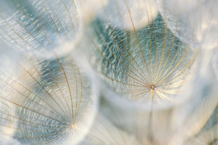 Bild-Nr: 12924633 Lichtfänger IV Erstellt von: Daniela Beyer