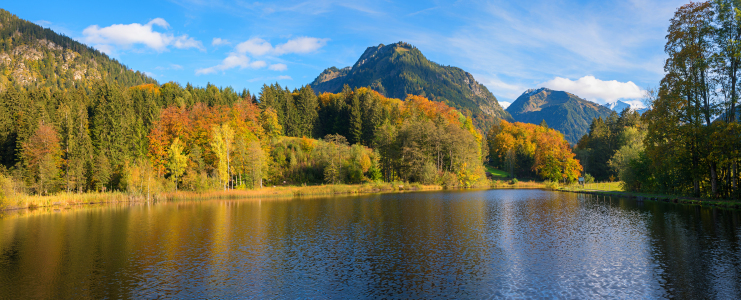Bild-Nr: 12924875 Idyllischer Moorweiher Oberstdorf im Herbst Erstellt von: SusaZoom