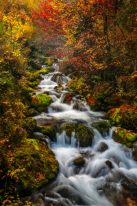 Bild-Nr: 12925278 Herbst in Slowenien Erstellt von: Achim Thomae