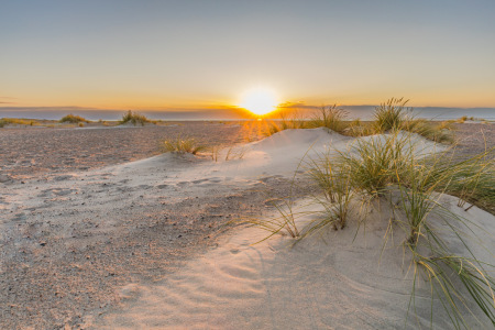 Bild-Nr: 12925774 Stranddünen im Sonnenschein Erstellt von: Ursula Reins