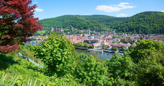 Bild-Nr: 12926446 Aussicht Philosophenweg auf Altstadt Heidelberg Erstellt von: SusaZoom