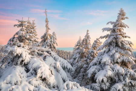 Bild-Nr: 12928050 Blick über den verschneiten Erzgebirgswald Erstellt von: Daniela Beyer