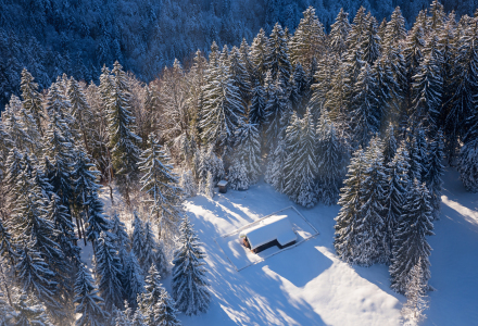 Bild-Nr: 12928583 Berghütte im Winterwald II Erstellt von: SusaZoom