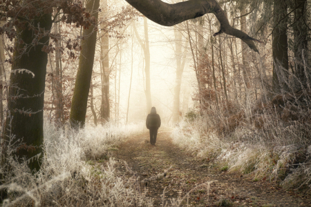 Bild-Nr: 12930047 Einsamer Spaziergang im Winterwunderland Erstellt von: Smileus