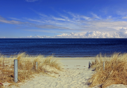Bild-Nr: 12930230 Strandaufgang Erstellt von: Ostseestrand