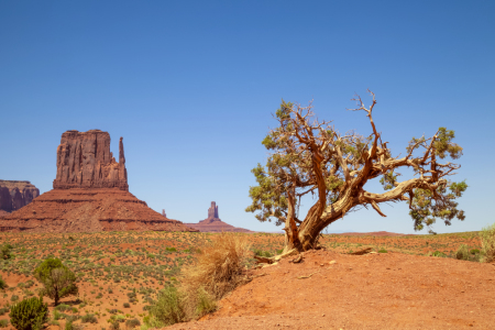 Bild-Nr: 12930973 MONUMENT VALLEY West Mitten Butte Erstellt von: Melanie Viola