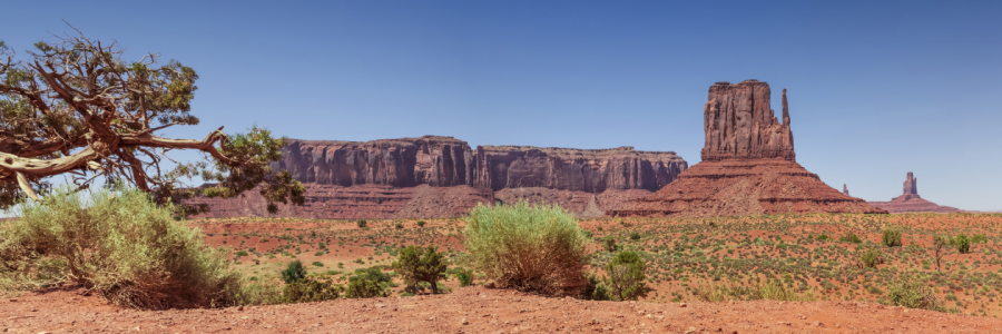 Bild-Nr: 12930985 Monument Valley Panorama Erstellt von: Melanie Viola