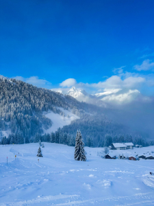 Bild-Nr: 12932702 Winterlandschaft im Montafon Erstellt von: DirkR