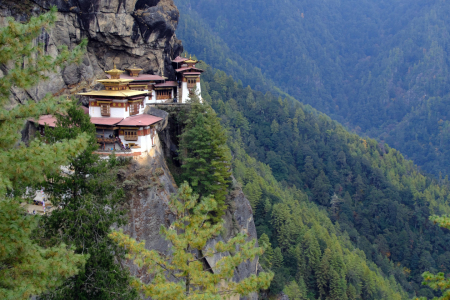 Bild-Nr: 12934298 Tigernest Erstellt von: Gerhard Albicker