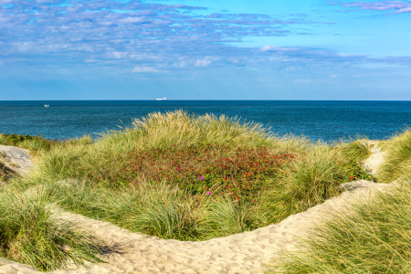 Bild-Nr: 12935127 Nordseedünen Erstellt von: Ursula Reins