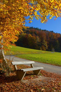 Bild-Nr: 12935260 Herbstliche Rast Erstellt von: SusaZoom