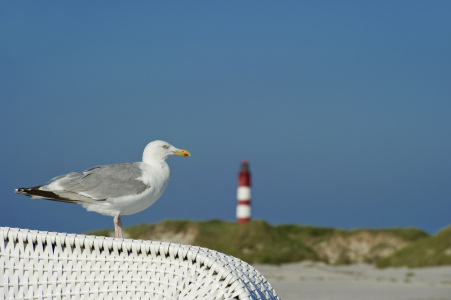 Bild-Nr: 12936025 Leuchtturm 2 Erstellt von: danielschoenen