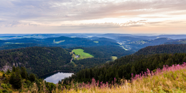 Bild-Nr: 12936170 Blick vom Feldberg im Schwarzwald Erstellt von: dieterich