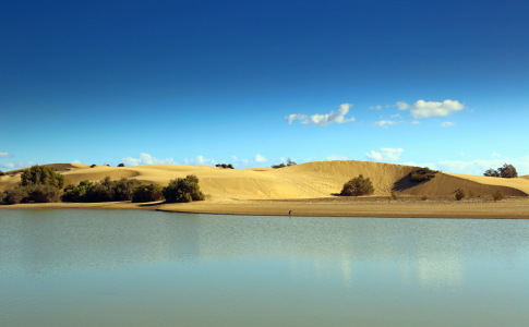 Bild-Nr: 12936570 Dünen von Maspalomas Erstellt von: Ursula Reins