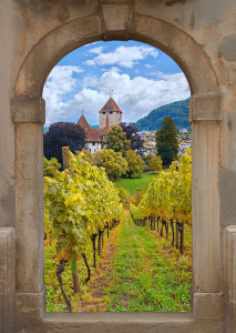 Bild-Nr: 12936672 Rustikales Fenster mit Blick auf Schloss Spiez Erstellt von: SusaZoom