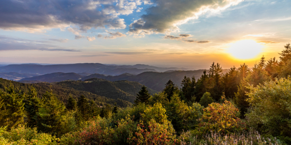Bild-Nr: 12936708 Blick vom Schliffkopf im Nationalpark Schwarzwald Erstellt von: dieterich