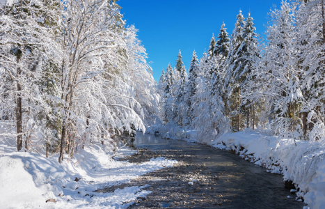 Bild-Nr: 12936959 verschneite Flusslandschaft Kreuth Erstellt von: SusaZoom