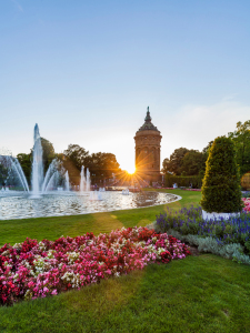 Bild-Nr: 12936963 Friedrichsplatz in Mannheim bei Sonnenuntergang Erstellt von: dieterich