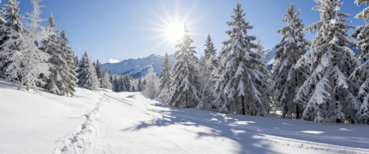 Bild-Nr: 12937091 Tannenwald im Winter KI Erstellt von: XYRIUS