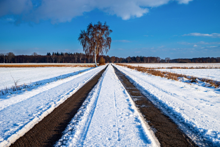 Bild-Nr: 12938124 Winter Road to Silence Erstellt von: Tanja Riedel