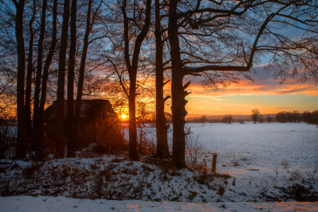 Bild-Nr: 12938129 Winter Sunrise Behind the Trees Erstellt von: Tanja Riedel