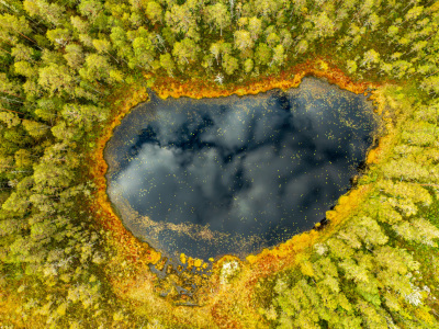Bild-Nr: 12939978 Waldsee in Dalarna Erstellt von: Armin Redöhl