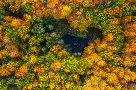 Bild-Nr: 12939985 Herz im Herbstwald Erstellt von: Armin Redöhl